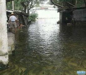 潮州沙溪爆料事件最新情况,最新进展与调查动态揭晓 第2张 潮州沙溪爆料事件最新情况,最新进展与调查动态揭晓 第2张