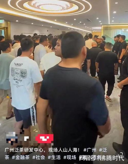 茶叶爆料视频,视频爆料带你走进神秘茶世界 第3张 茶叶爆料视频,视频爆料带你走进神秘茶世界 第3张